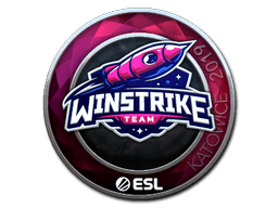 印花 | Winstrike Team（闪亮）| 2019年卡托维兹锦标赛