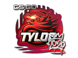 TYLOO | 2020 RMR